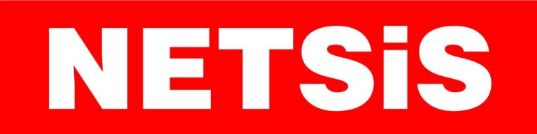 Netsis Logo